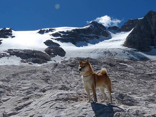 中国男篮持续优化攻守转化节奏，中国男篮新规则