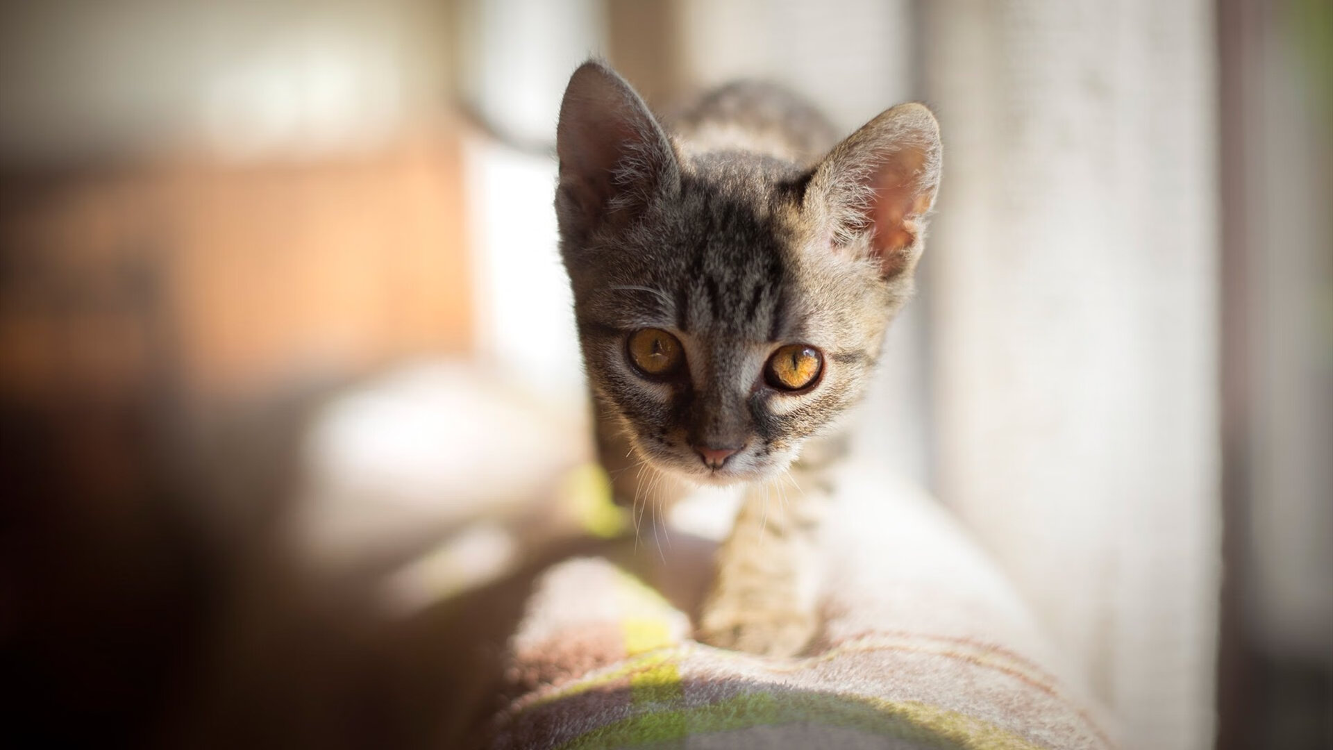 开云体育官网下载安装-中超联赛中国队战平 球迷期待更多胜利，中超联赛情况