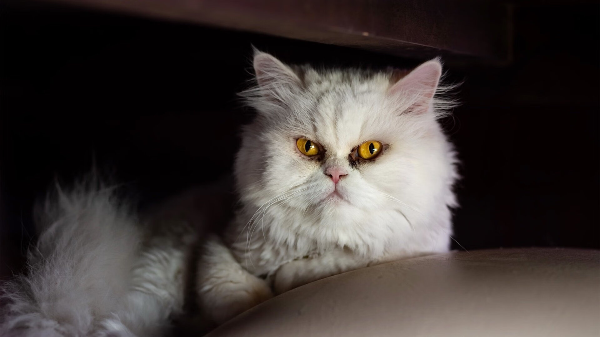 开云体育俱乐部官网-国家队失误率为何居高不下，国家队为什么少了一集