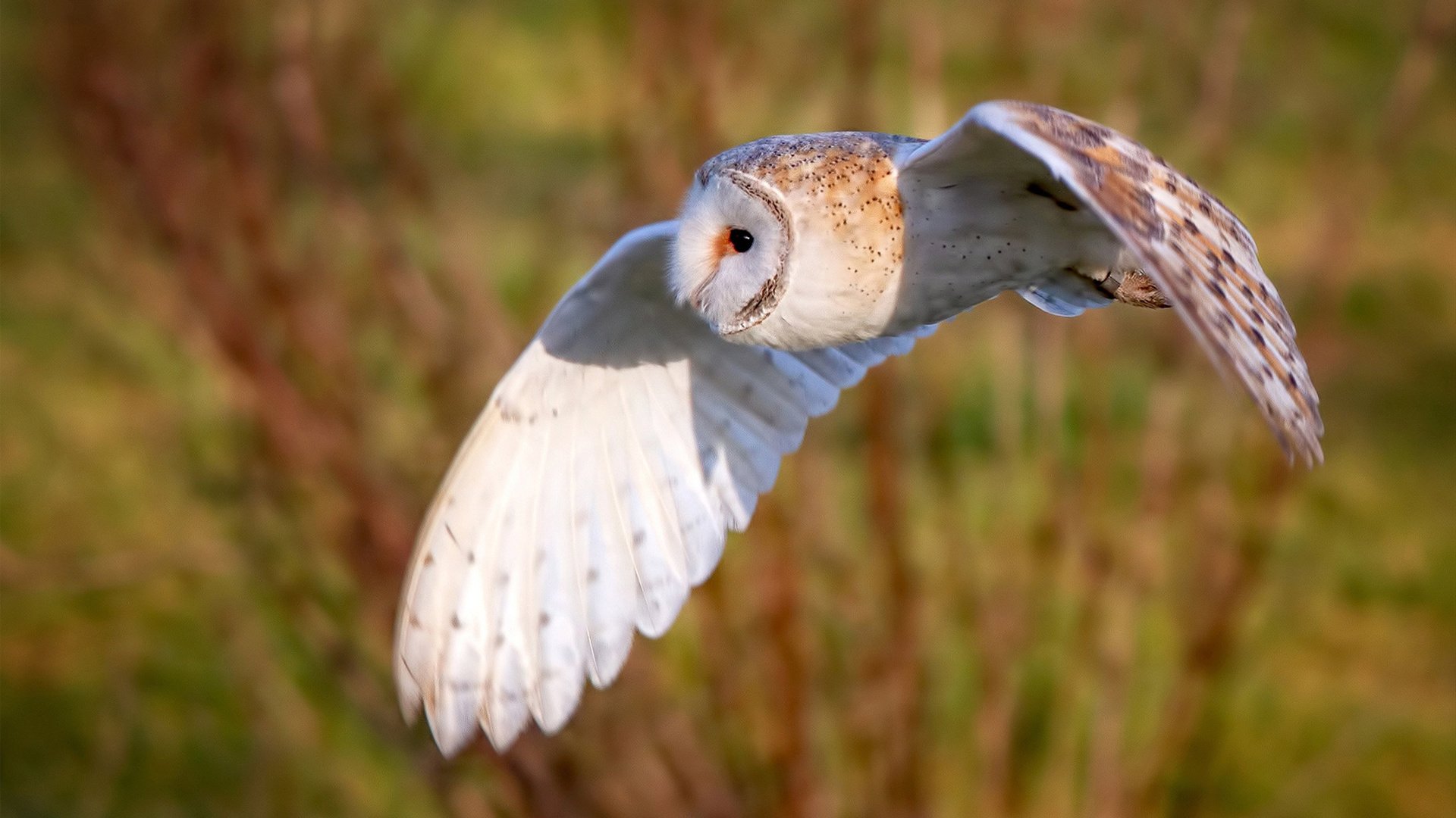 中甲联赛增加主客场赛事氛围重回热血对抗时代，中甲什么时候恢复主客场